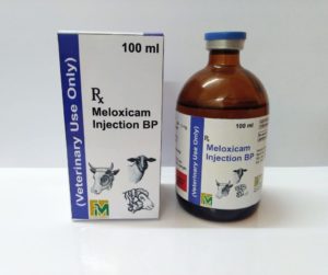 Meloxicam injection