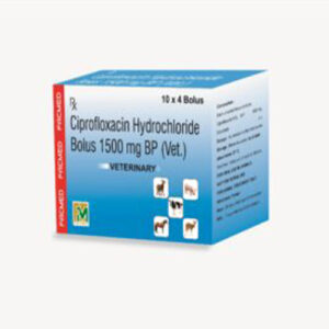 Veterinary Oral Medicine